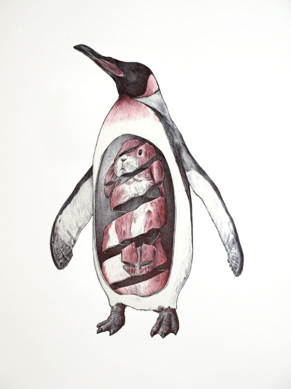 pinguino
