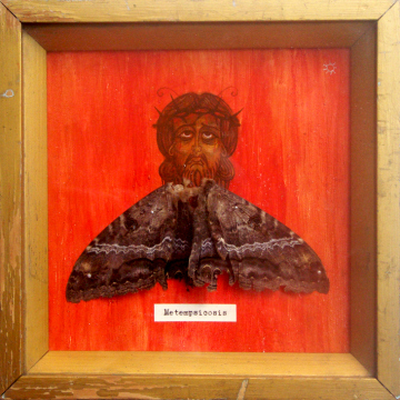Metempsicosis